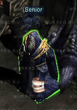 Senior Castle Siege Mu Online